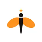 Valny: Personal AI Stylist icon