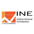 INE ANGOLA Icon