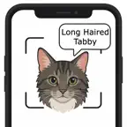 Cat Breed Identifier - AI iOS Icon
