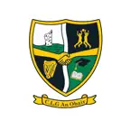 Nobber GAA iOS Icon