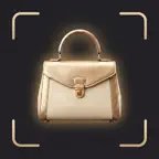 BaggyAI Handbag Value Scanner iOS Icon