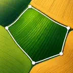 Agrondo: Field Area Measure iOS Icon