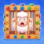 Save Sheep Jam : Nuts Out iOS Icon