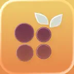 BlurryBerry: Blur Faces Icon