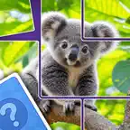 Jigsaw Moments : Card Story iOS Icon