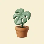 Kok: Plant Identifier & Care iOS Icon