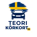 Teorikörkort icon