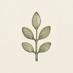 FlowerKeep iOS Icon