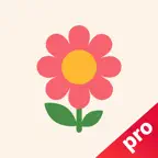 VPN - whale plus v2box ify icon