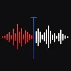 Voice Recorder - Record it iOS Icon