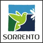 Conjunto Residencial Sorrento iOS Icon