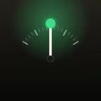 Maestro: Tuner & Metronome iOS Icon
