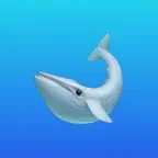 WhaleLens: Whale Tracker iOS Icon