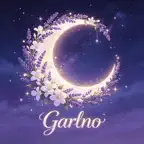 Garlno-AI Kinetic Video Maker Icon