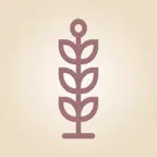 What Would Jesus Say to Me iOS Icon