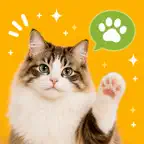 MeowTok: AI Cat Translator icon