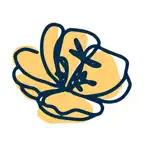 The Sundrop School iOS Icon