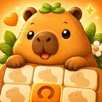 CappyDoku iOS Icon