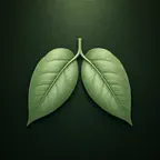 Smetto: Quit Smoking iOS Icon