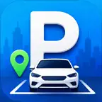 Парковка PRO Icon