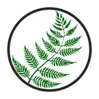Папоротник iOS Icon