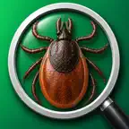 Tick Checker • iOS Icon