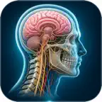 Anatomy Atlas - 3D Human Body icon