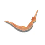 La Playa Pilates iOS Icon