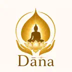 Smart Dana iOS Icon