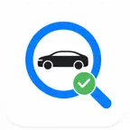 RobotaxiID iOS Icon