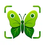 Bug Identifier- Scan Insect ID iOS Icon