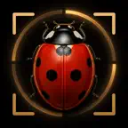 Chitin: Bug Identifier iOS Icon