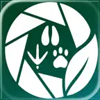 FaunaNote: Animal Identifier iOS Icon