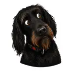Winston Dog Emoji Stickers iOS Icon