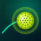 PickleVision AI Pickleball iOS Icon