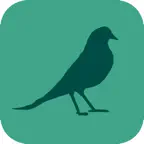 Wildwood: Follow the Crows icon