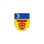 Dorpsapp Holwert Icon