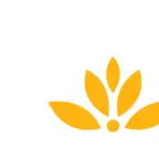 DMI - elxa iOS Icon
