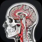 DICOM Viewer: Slicora iOS Icon