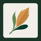 eltayibat icon