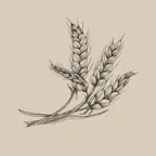 HANADY SANDWICH iOS Icon