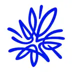 AMP Super icon
