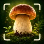 Mushroom Identifier - MycoAI iOS Icon