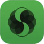 MongoDB Client by SQLPro iOS Icon