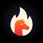 BurnPony Self-Destruct Notes iOS Icon