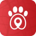 KuyraPet iOS Icon