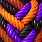 Knot Today iOS Icon