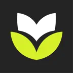 Monivera: Auto Expense Tracker icon