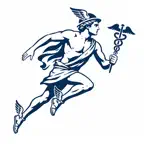 Hermes Agent Ai iOS Icon