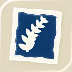 Cyanotype: Blueprint Photo Lab icon